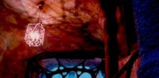 L’obra de Gaudí inspira la novel·la negra ‘El asesino de La Pedrera’