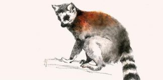 Del 14 al 16 de març KOSMOPOLIS 2013.