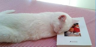 Les fotografies guanyadores del IV Concurs fotogràfic de L’illa dels llibres.