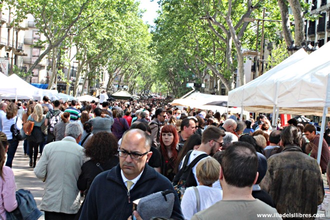 Sant Jordi llibres 01