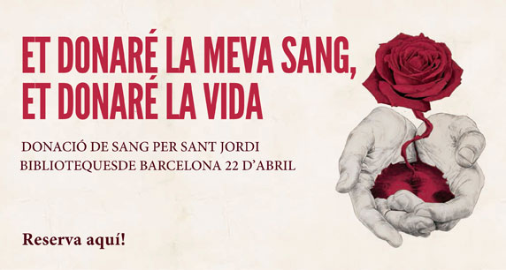 banner_santjordi2014