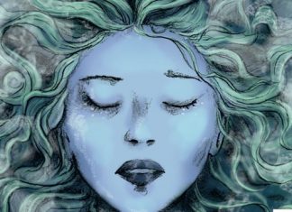 Les novel·les de Camilla Lackberg s’adapten al còmic Camilla Lackberg Comic