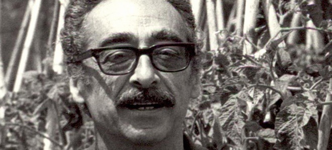 pedrolo