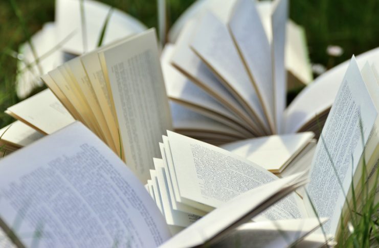 17 llibres que hauries d’haver llegit el 2017