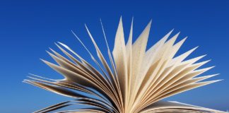 20 Lectures imprescindibles de L’Illa dels Llibres per aquest estiu