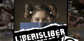 Liberis Liber, 10 anys del festival de l’edició independent