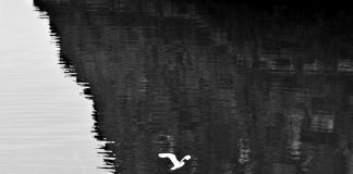 ‘Imatges i Paraules’, (2) Laia Aguilar, la narrativa sincopada